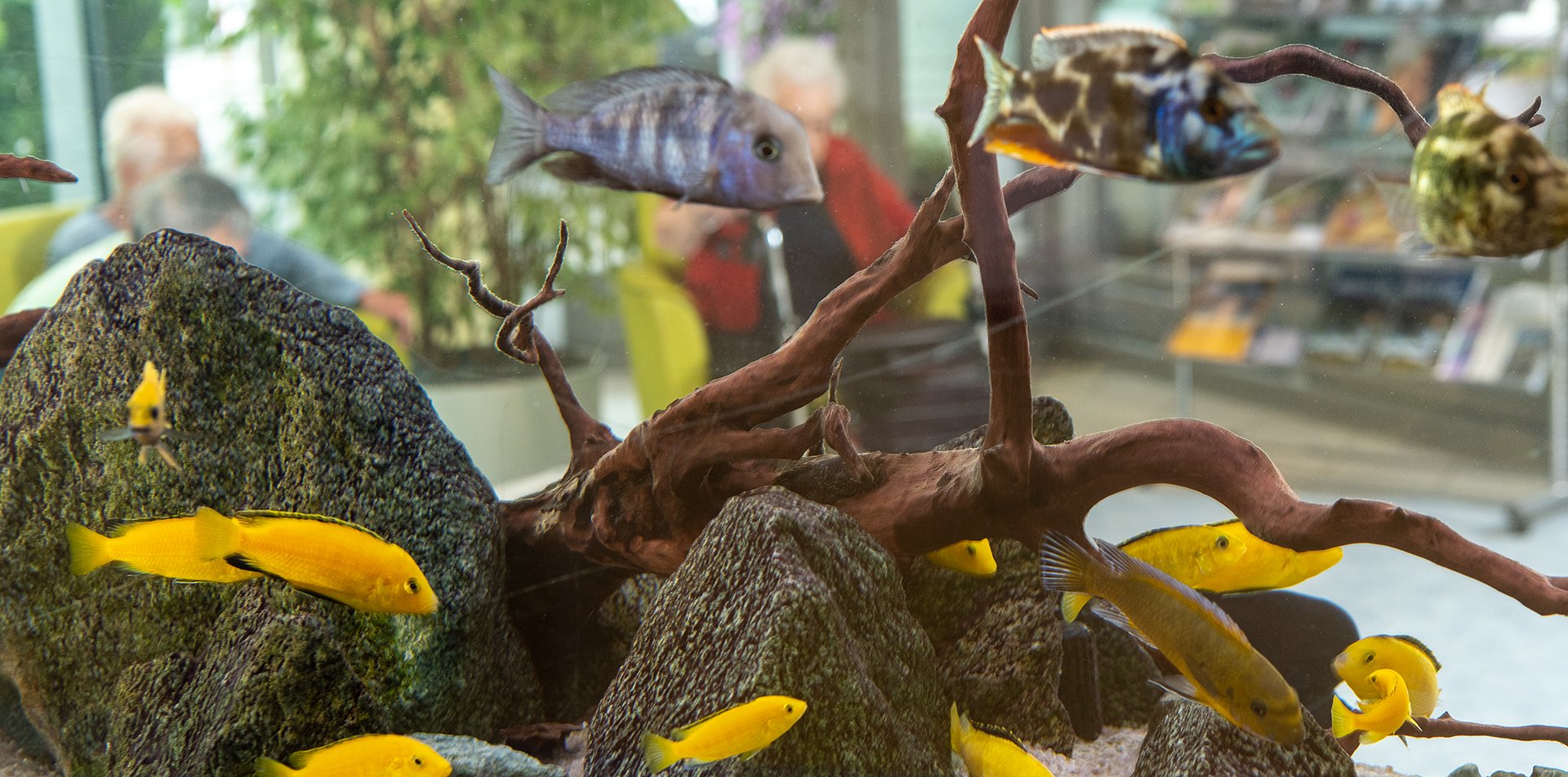 Ihre Spende und freiwilliges Engagement schaffen Erlebnisse