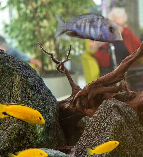 Ihre Spende und freiwilliges Engagement schaffen Erlebnisse